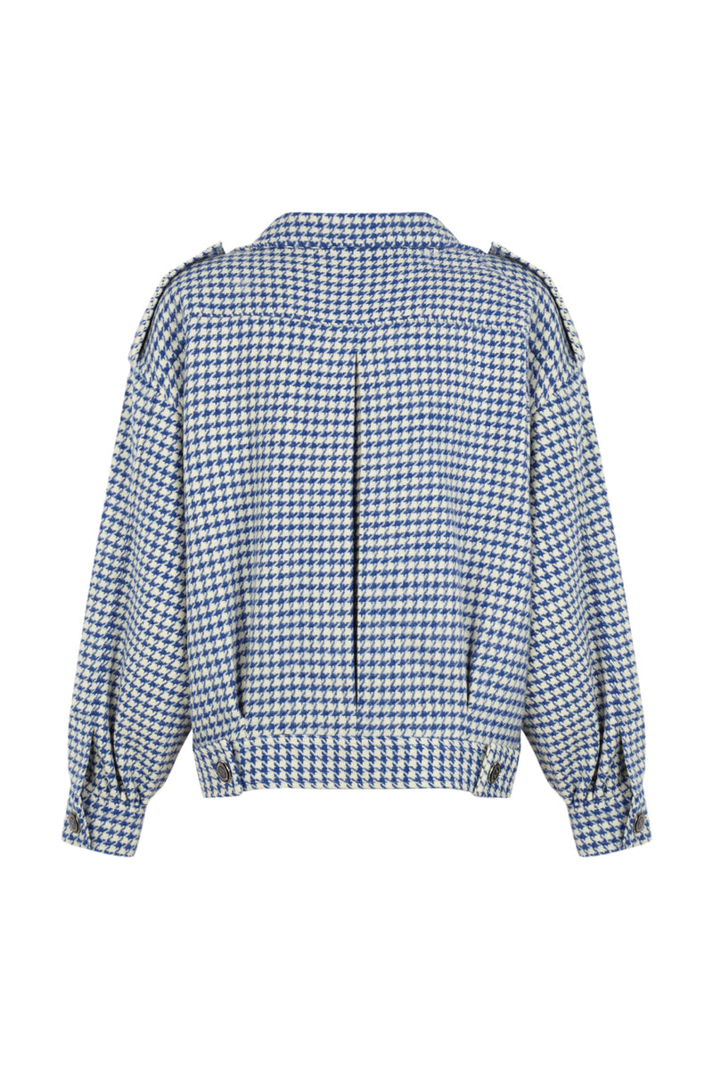 Manech 001 w Mondrian chasseur de laine