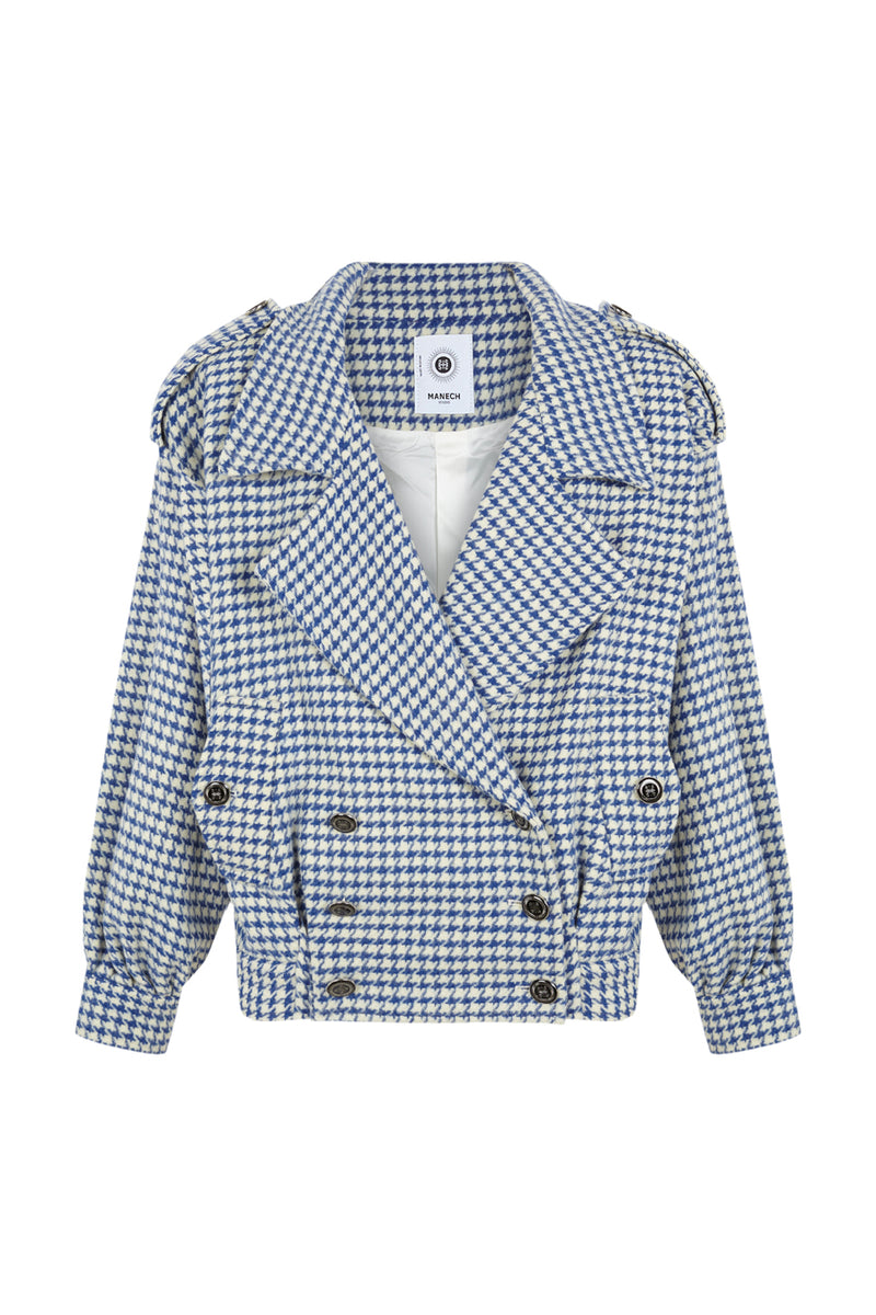 Manech 001 w Mondrian chasseur de laine